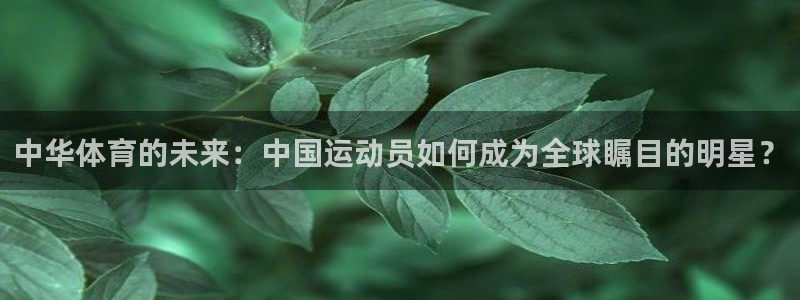 哈哈体育十年