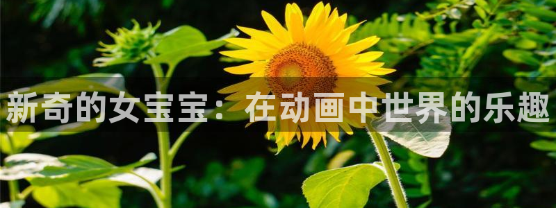 哈哈体育十年