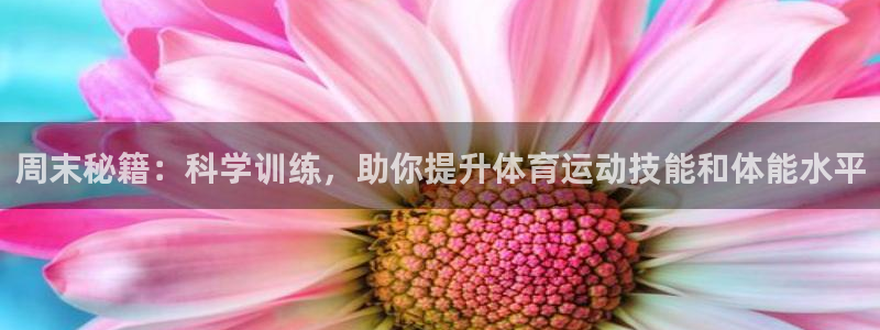 哈哈体育十年