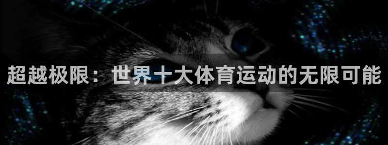 哈哈体育下载