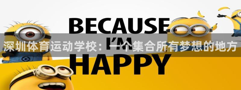 哈哈体育十年