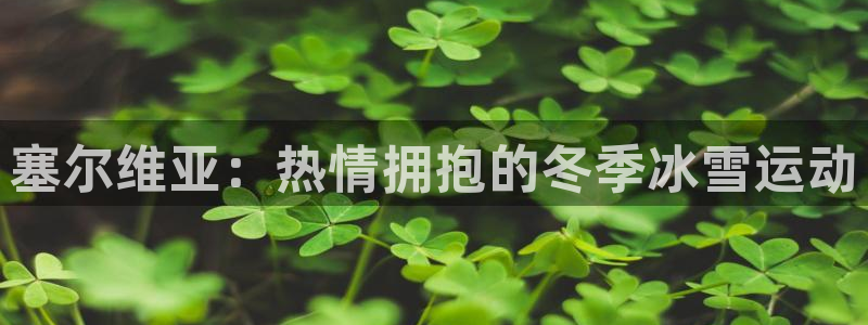 哈哈体育
