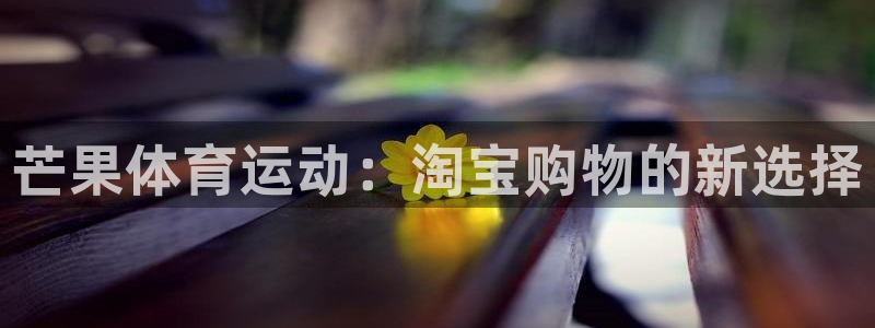 哈哈体育