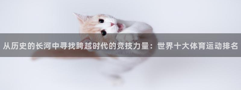 哈哈体育