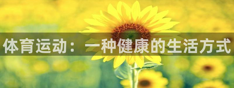 哈哈体育下载