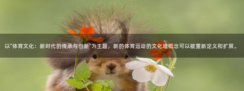 哈哈体育下载