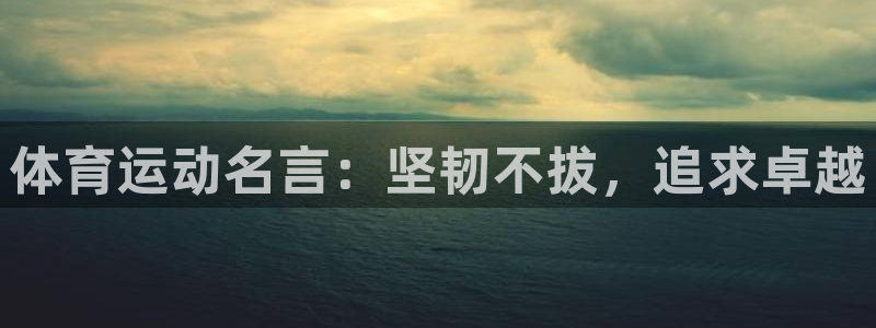 哈哈体育
