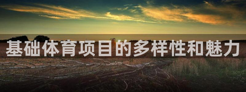 哈哈体育十年